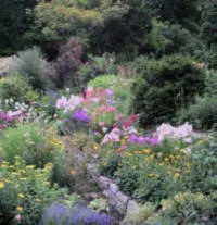 Foerstergarten