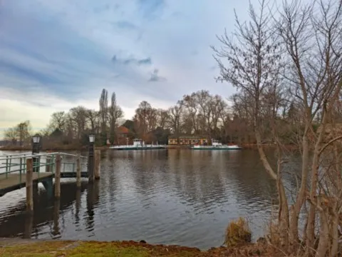 Blick zur Pfaueninsel