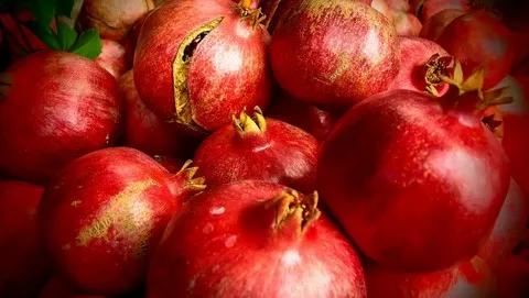 Granatapfel