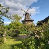 Mühle  Schloss Sanssouci
