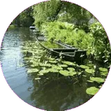 Spreewald